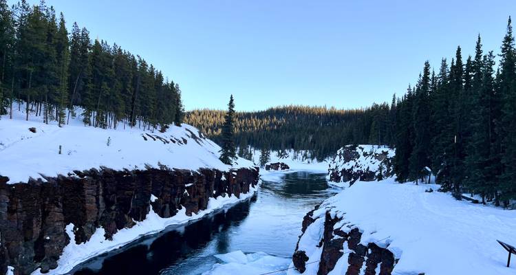 Yukon Winter Adventure With Aurora, Snowmobiling, Dog Sledding & More from Vancouver - Landsby 6