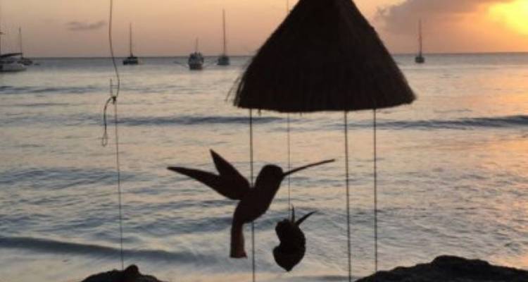 Paquete de ensueño Tobago - avenTOURa 2