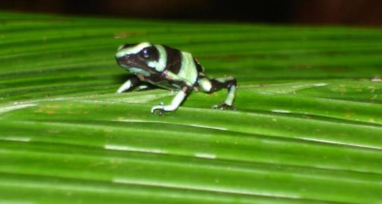 Costa Rica active - avenTOURa 6