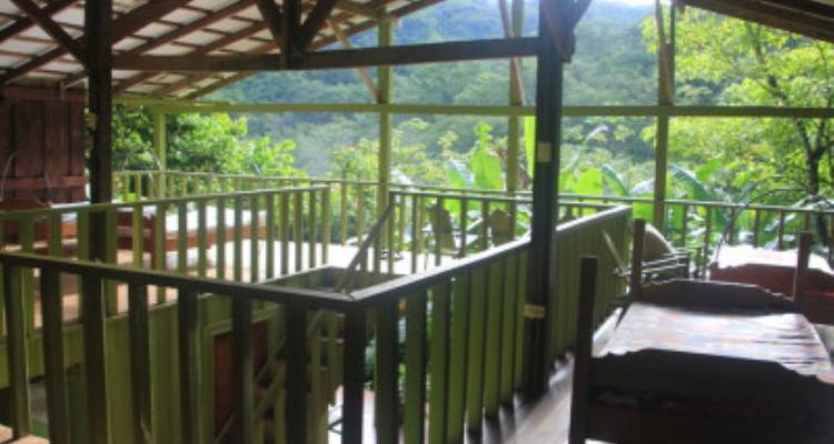 Costa Rica Pura Vida - avenTOURa 3