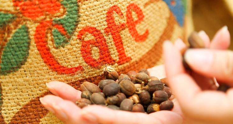 Puñado de granos de café crudos contra un saco de arpillera marcado 'Café'.