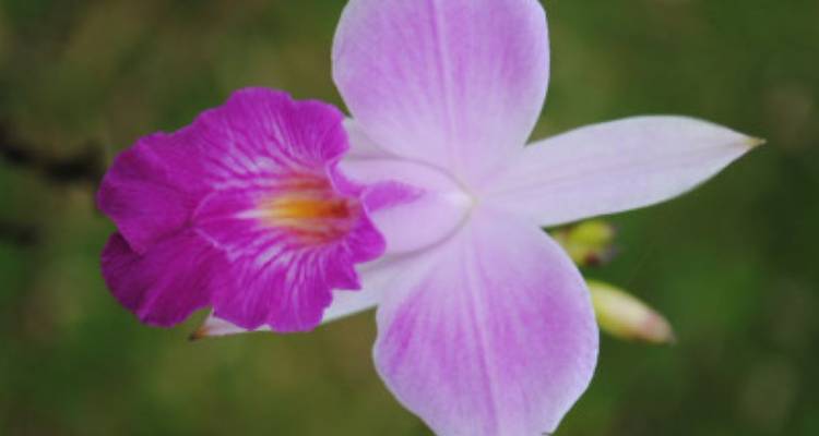 Costa Rica Wanderreise - avenTOURa 1