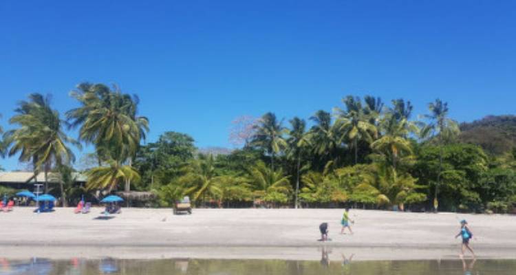 Costa Rica Wanderreise - avenTOURa 6