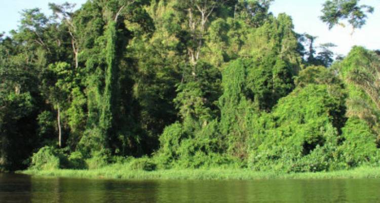 Costa Rica con traslado en autobús: diversión tropical en familia - avenTOURa 2