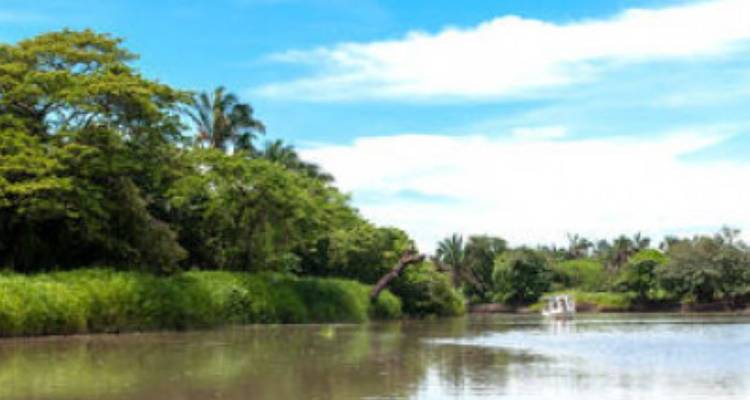 Costa Rica con traslado en autobús: diversión tropical en familia - avenTOURa 3