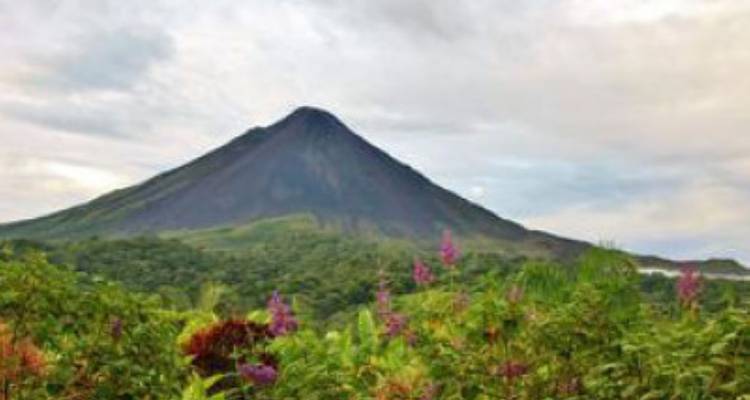 Costa Rica con traslado en autobús: diversión tropical en familia - avenTOURa 6