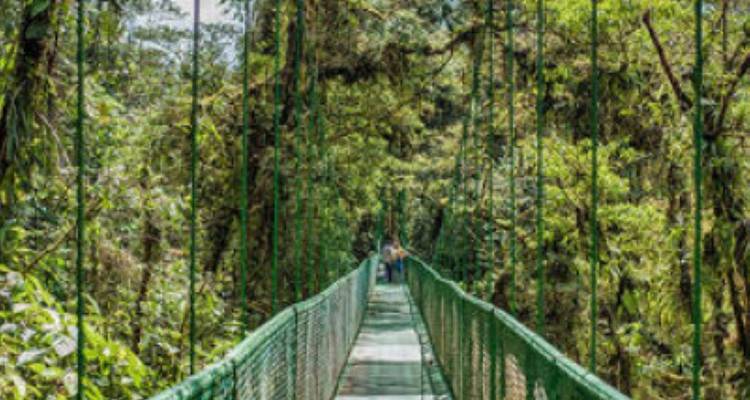 Costa Rica con traslado en autobús: diversión tropical en familia - avenTOURa 9
