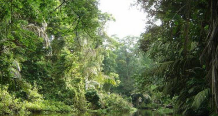 Costa Rica Aprende español en el Pacífico - avenTOURa 2