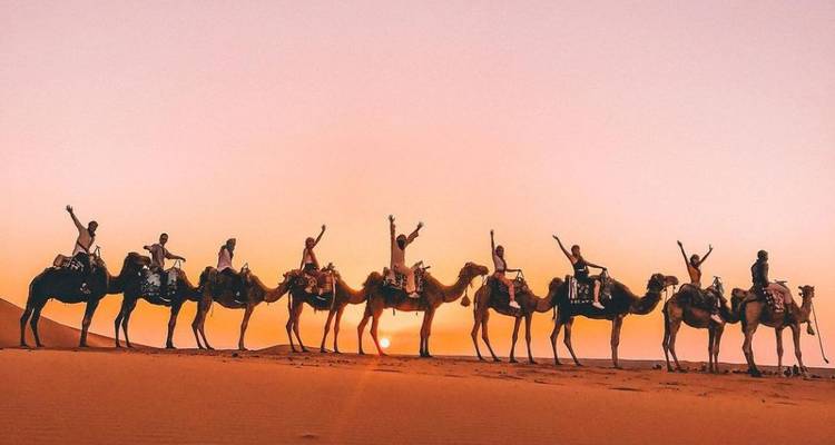 Kameelkaravaan strekt zich uit over de kam van een duin, gesilhouetteerd door een levendige woestijnzonsopgang.