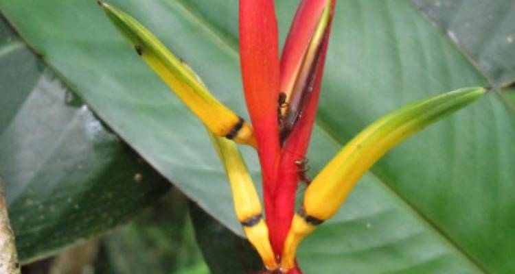 Panama Highlights - avenTOURa 2