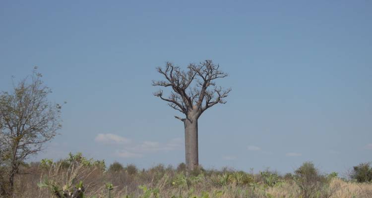 Madagascar, l'île des contrastes - Authentic Madagascar Tours 2