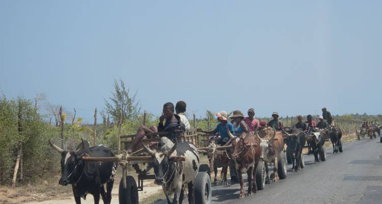 Madagascar, l'île des contrastes - Authentic Madagascar Tours 8