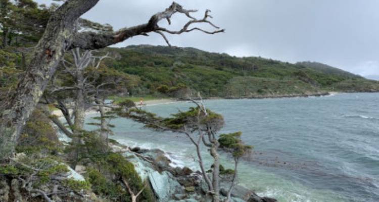 Patagonia Activa - avenTOURa 10