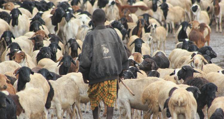 Circuito cultural de 5 días - Aldea de Mukuru - PN Arusha - PN Tarangire y Cráter del Ngorongoro - Wonders of Creation Tours and Safaris 5