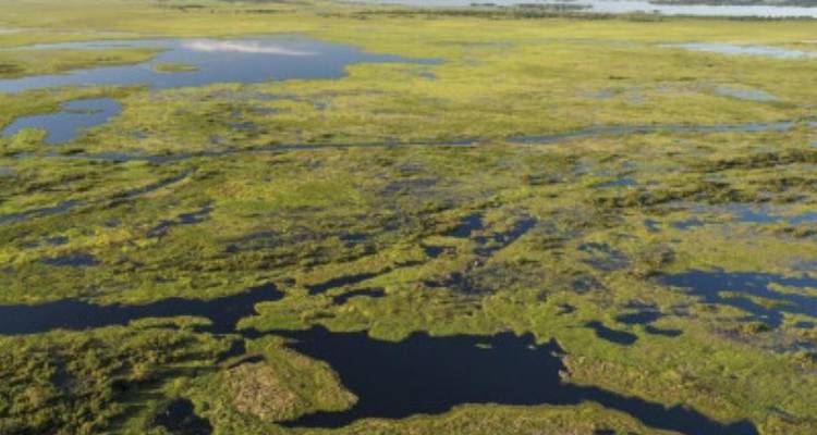 Les merveilles naturelles du Brésil - avenTOURa 10