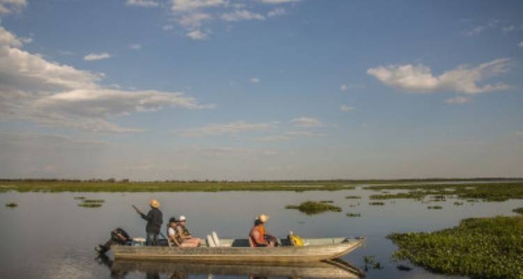 Observación de animales en el Pantanal - avenTOURa 4