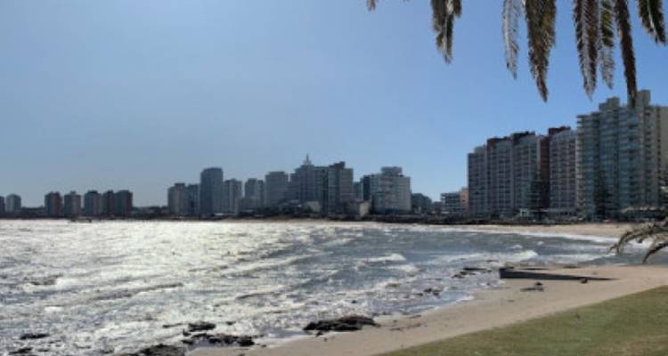 Alquiler de coches en Uruguay - avenTOURa 6