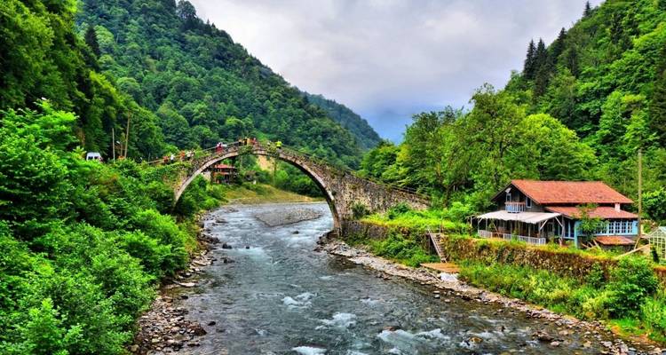 Schilderachtige stenen brug over een rivier met weelderige groenvoorziening.