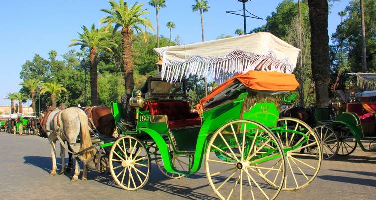 Versierde paardenkoetsen op een straat omzoomd met palmbomen.
