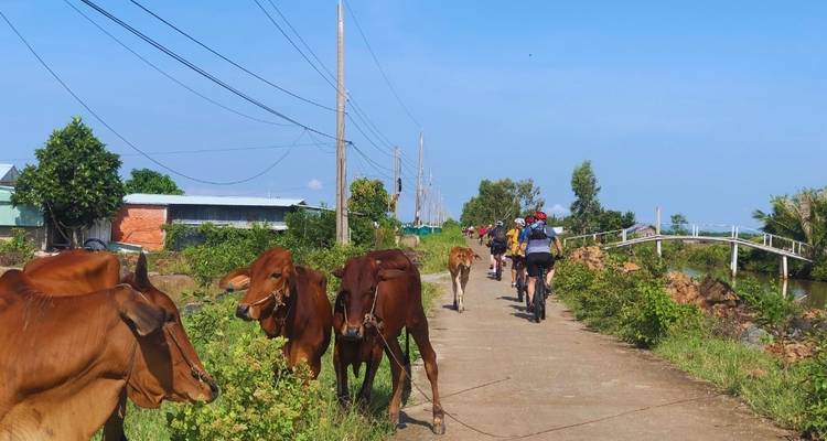 Fantastic Mekong Delta Cycling Tour 5 days - Vietnam By Bike 3