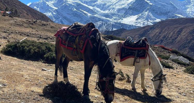 Trekking Circuito del Annapurna - 9 días - Glorious Himalaya Trekking Pvt. Ltd. 7