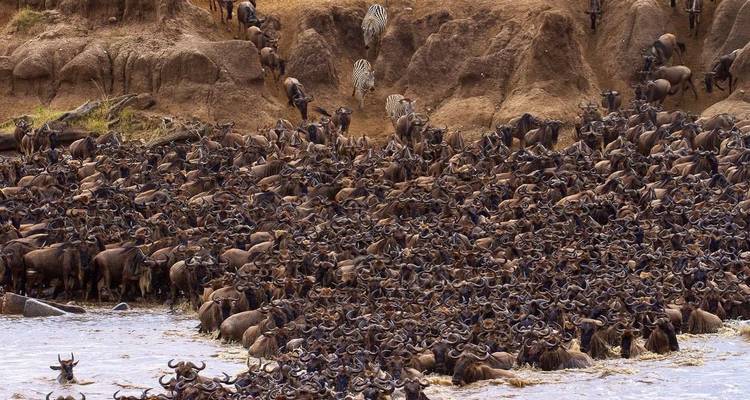 5 jours - Village de Mukuru - Parc National du Tarangire - Cratère du Ngorongoro et Parc National du Serengeti - Wonders of Creation Tours and Safaris 7
