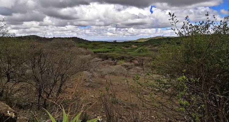 6 Days – Mukuru Village – Lake Natron – Serengeti NP and Ngorongoro Crater - Wonders of Creation Tours and Safaris 1