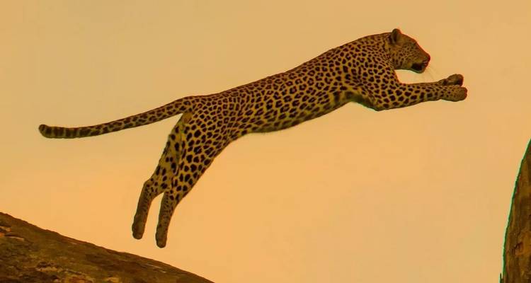 6 Days – Mukuru Village – Lake Natron – Serengeti NP and Ngorongoro Crater - Wonders of Creation Tours and Safaris 10