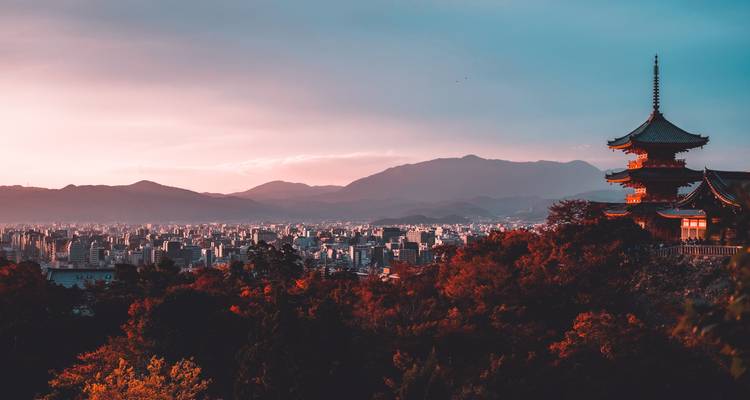 Le Japon et la Corée du Sud en 25 jours : De Tokyo à l'île de Jeju - The Dragon Trip 9