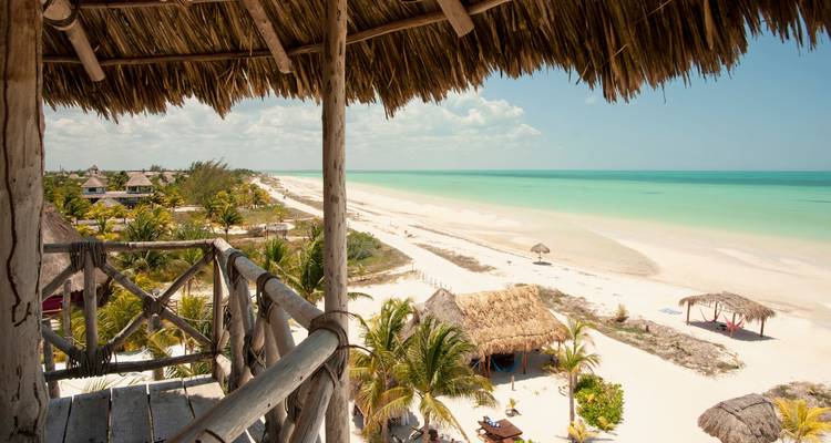 View from a thatched balcony overlooking a beach and ocean.