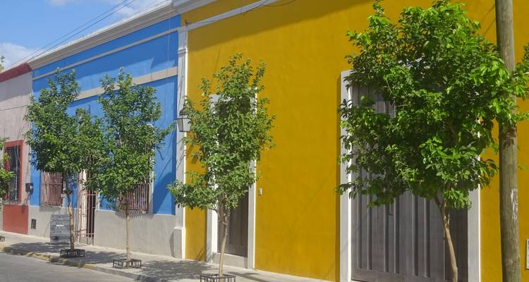 Colorful buildings with trees on a sunny street.