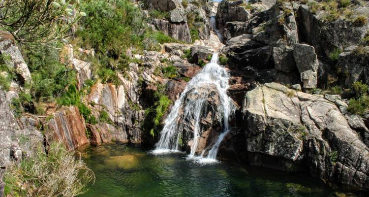 Cascade naturelle coulant sur des rochers dans un environnement verdoyant luxuriant.