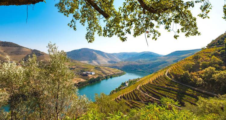Vue panoramique d'une vallée fluviale avec des vignobles.