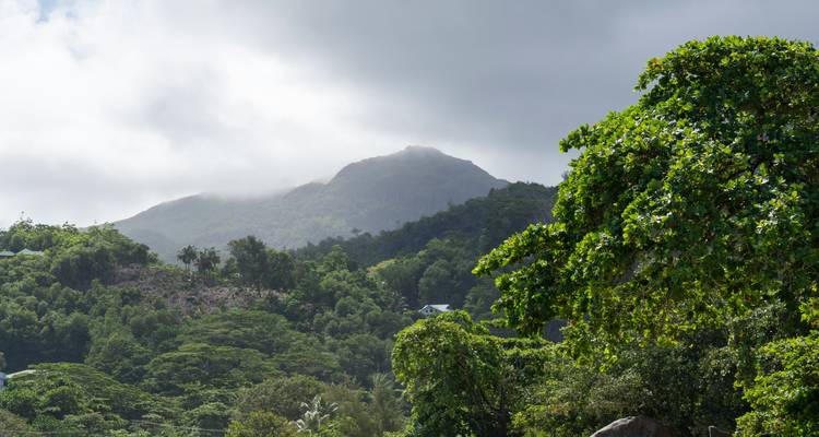 Mauritius & Seychelles: Island Paradise meets Glamping Nights - journaway 8