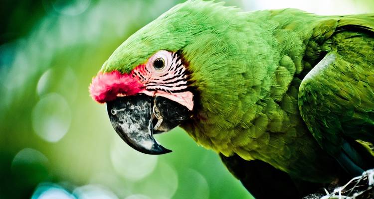 Honduras & Miami Bucket List: Vice City Goes Caribbean - journaway 3