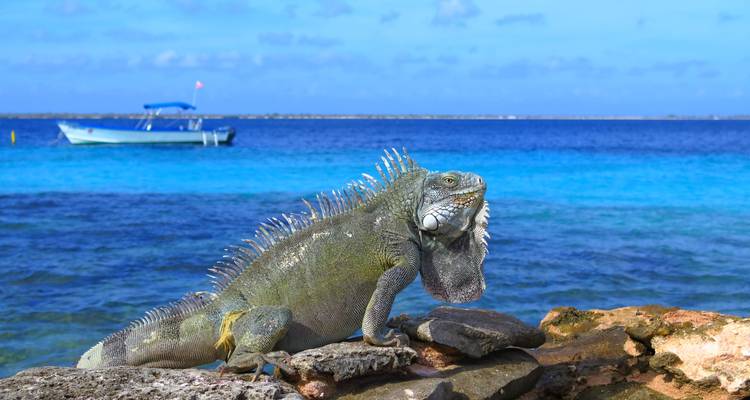 Honduras & Miami Bucket List: Vice City Goes Caribbean - journaway 10