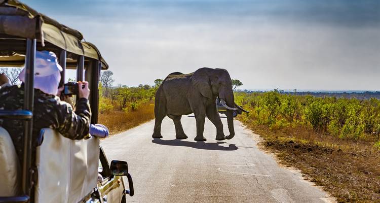 South Africa Road Trip: Wildlife Glamping, Kruger & Cape Town (8 destinations) - journaway 10
