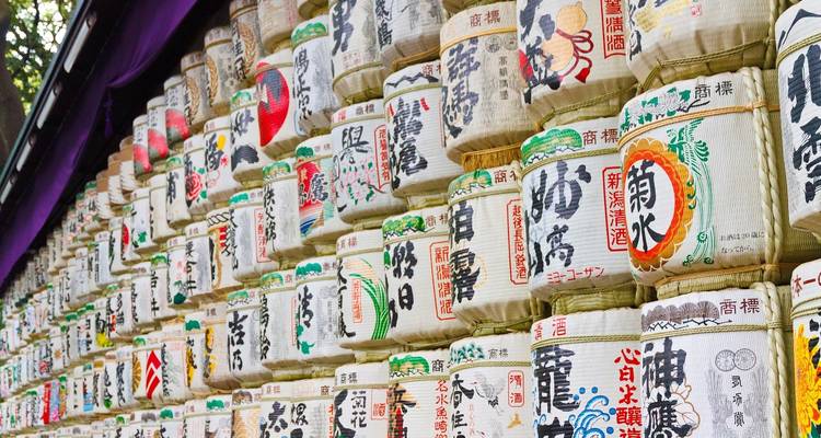 Japan City & Beach: Meet me in Tokyo & Okinawa! - journaway 2
