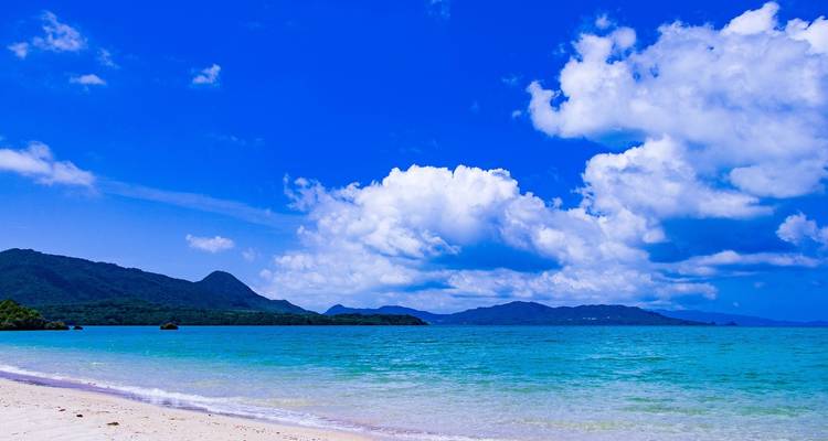 Japan City & Beach: Meet me in Tokyo & Okinawa! - journaway 6