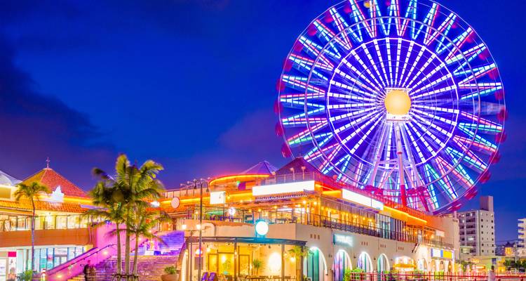 Japan City & Beach: Meet me in Tokyo & Okinawa! - journaway 8