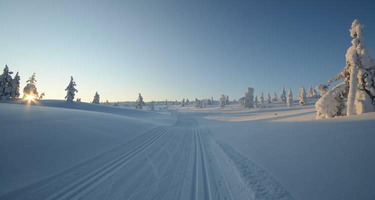 Finlandia Bucketlist: Aventura invernal Laponia - journaway DACH 2