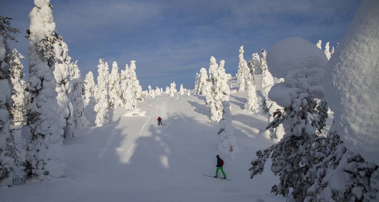 Finlandia Bucketlist: Aventura invernal Laponia - journaway DACH 4