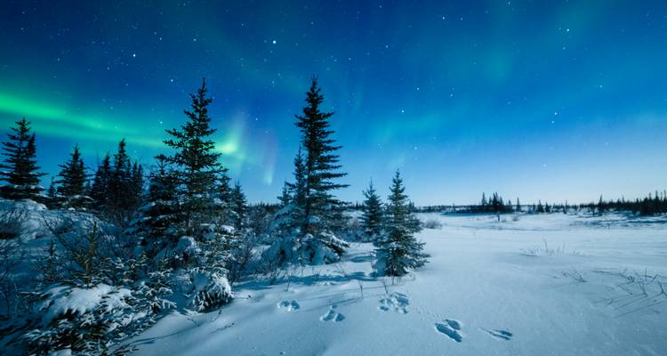 Finlandia Bucketlist: Aventura invernal Laponia - journaway DACH 10