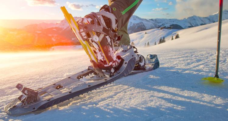 Finlandia Bucketlist: Aventura invernal Laponia - journaway DACH 8