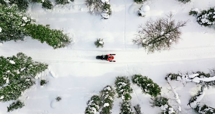 Finlandia Bucketlist: Aventura invernal Laponia - journaway DACH 7