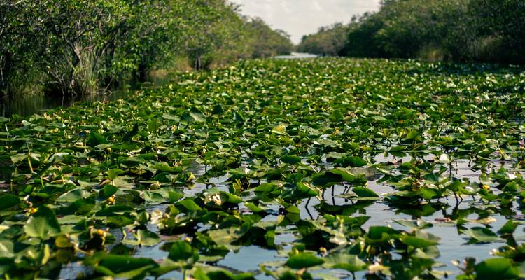 Honduras & Miami Bucketlist : Vice City goes Island Hopping ! - journaway 1