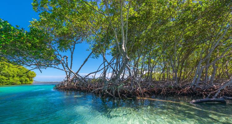 Honduras & Miami Bucketlist : Vice City goes Island Hopping ! - journaway 7