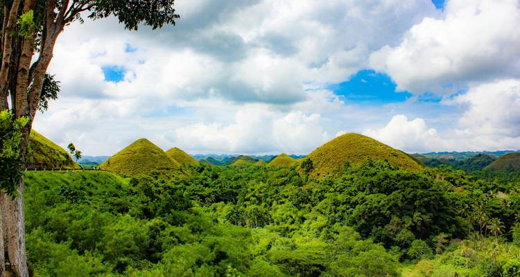 Liste de choses à faire aux Philippines : Sunny Singapore Meets Chocolate Hills ! - journaway 3