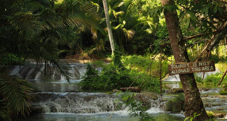 Liste de choses à faire aux Philippines : Chocolate Hills & Palmtree Thrills ! - journaway 4