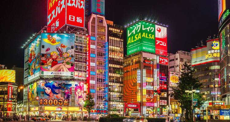 China, Japón y Corea del Sur: de ciudad en ciudad hacia las maravillas del mundo - journaway 8